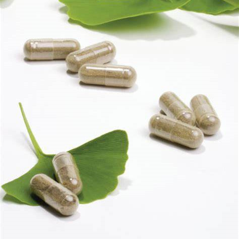 Ginkgo Biloba Extract Powder, Ginkgo Leaf Extract (5)