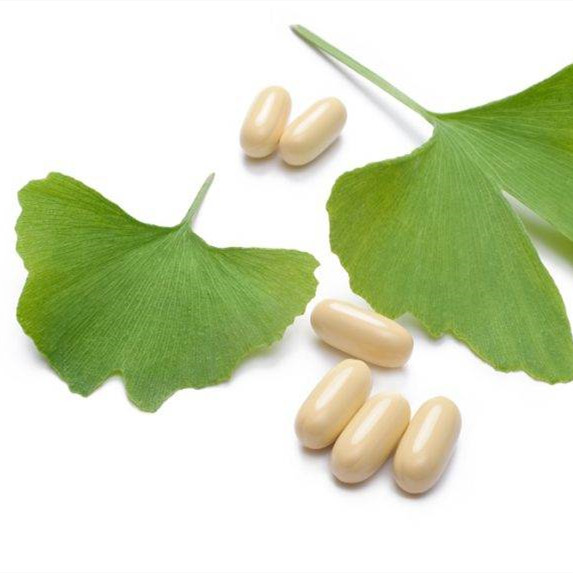 Ginkgo Biloba Extract Powder, Ginkgo Leaf Extract (6)